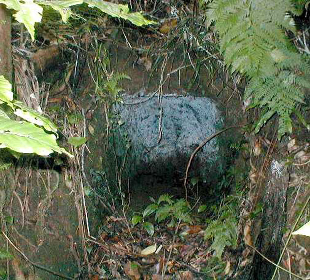 Cave