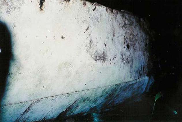 Horizontal Stabilizer