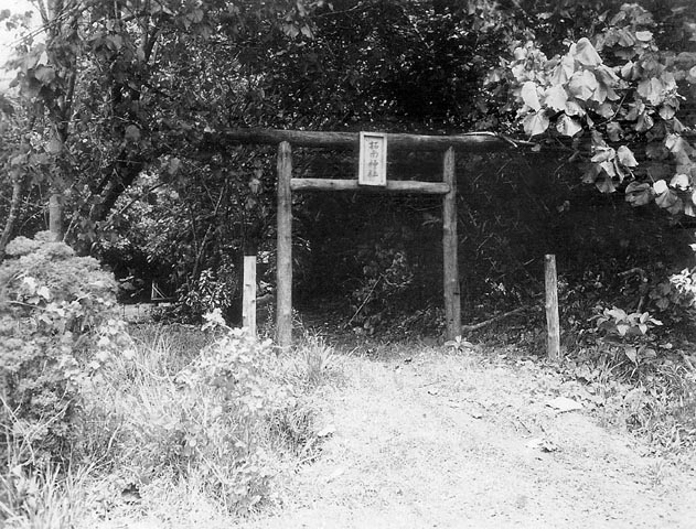 Japanese Gate