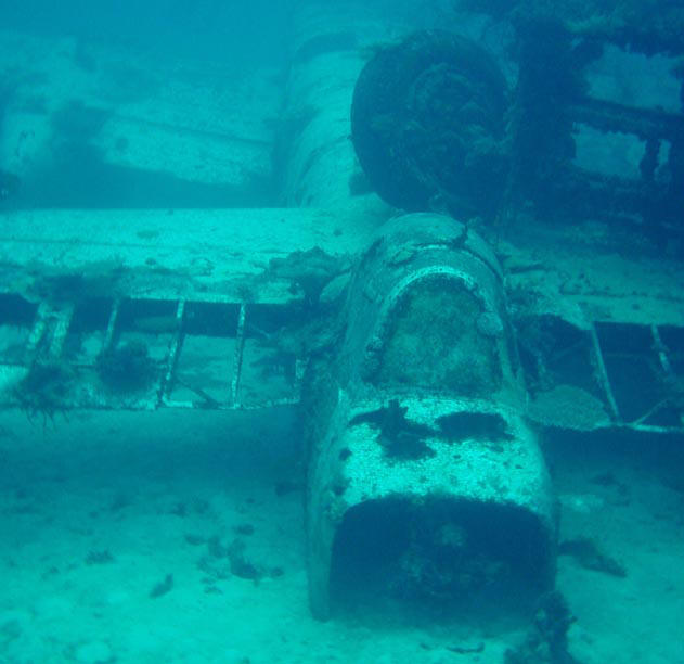 Tail Turret