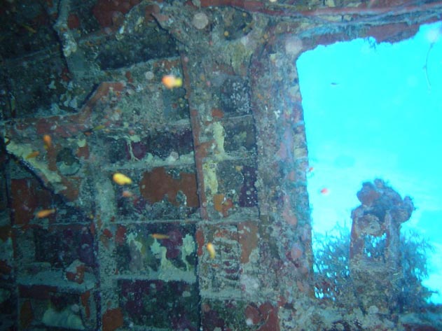 Radio-Gunner's Compartment