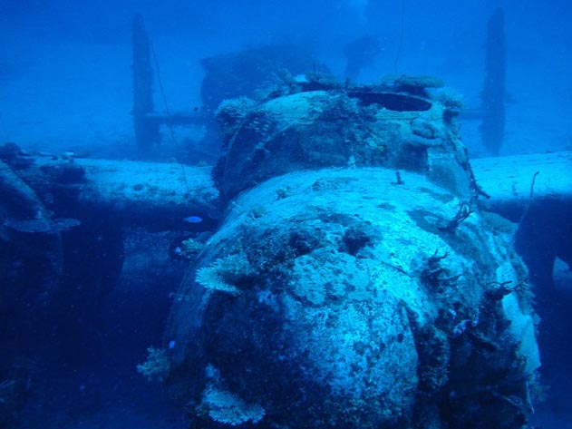 Front View