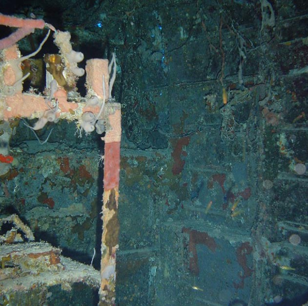 Radio-Gunner's Compartment
