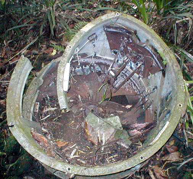 Japanese Searchlight