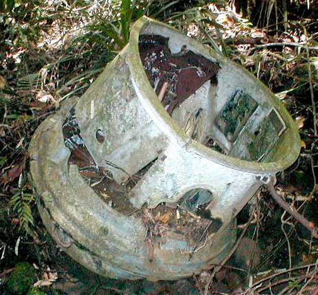 Japanese Searchlight